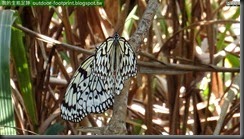 20140814_143820_204_YehLiu