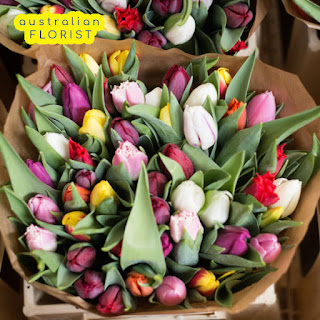 Australian Florist Directory Image