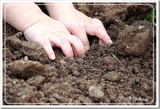 dirt