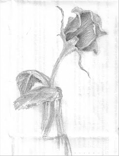 pencil drawing of a rose