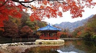 10 Autumn travel destinations in Asia