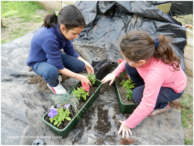 Preparando macetas con flores - Chacra Educativa Santa Lucía