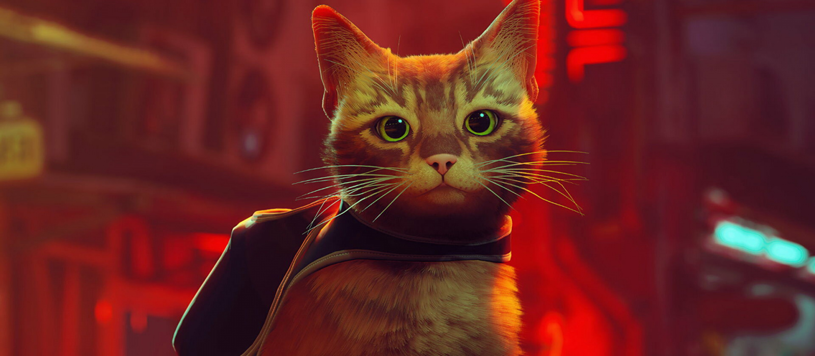 10 Cool Cat Games You Should Play If You Like Stray