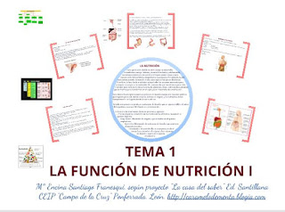 https://prezi.com/3dpg5qpnarit/c-del-medio-6o-curso/