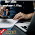 The Benefits and Process of Obtaining an Investment Visa