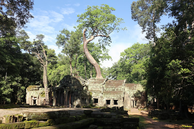 18-02-22: Circuito corto de Angkor. - 12 días por Tailandia y Camboya (1)