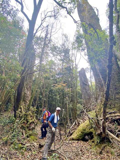 百志興保山下山途中