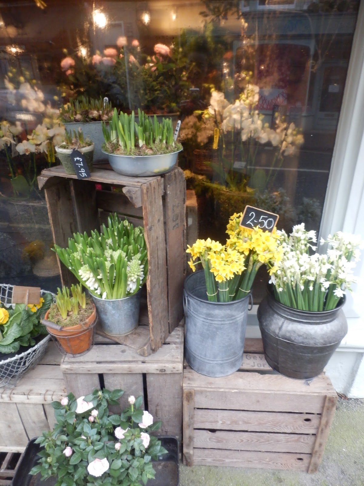 House Of Pottery Flower Shop In England イギリスのお花やさん