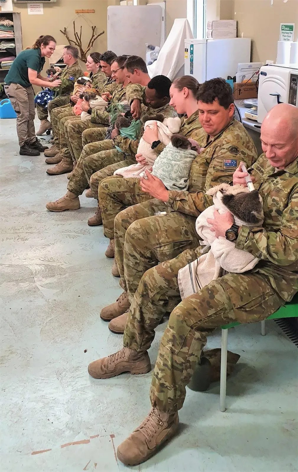 Australian Soldiers Cuddle And Take Care Of Displaced Koalas