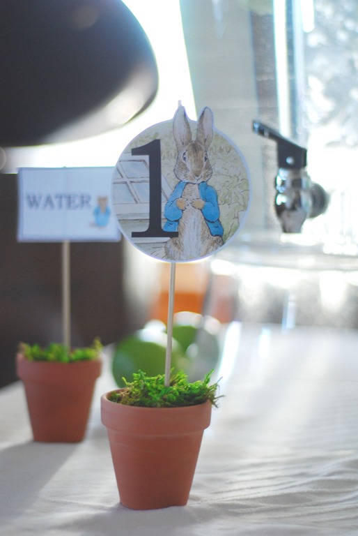Peter Rabbit First Birthday Party