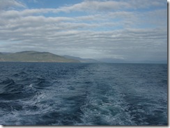 P5230454