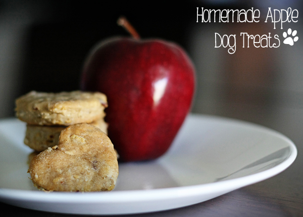 Apple Dog Treats