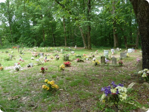 Day in Florence, AL 007