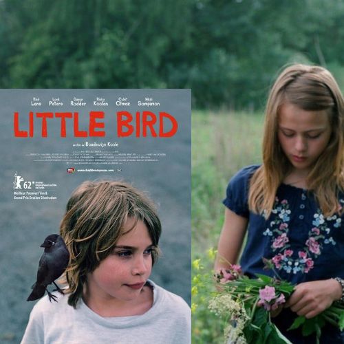 little-bird-film