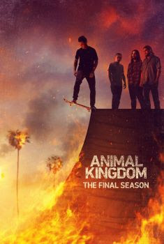 Animal Kingdom 6ª Temporada Torrent (2022) WEB-DL 720p/1080p Legendado