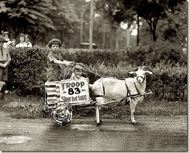 5qtVgoat-cart-1920s-photograph 5qtVgoat-cart-1920s-photograph