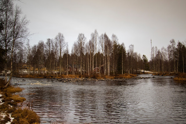 Fiume nei dintorni di Rovaniemi