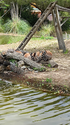 Badoca Safari Park