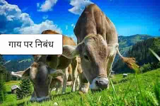 Hindi essay on cow, about cow in hindi