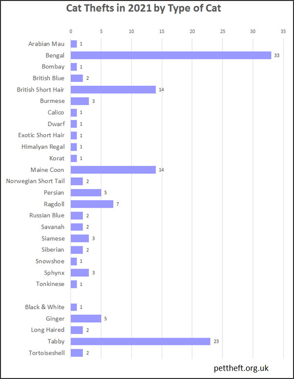 Cat thefts by breed and type