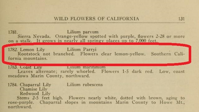 Упоминание Lemon Lily в «Аннотированном списке полевых цветов Калифорнии» Патрика Бевериджа Кеннеди