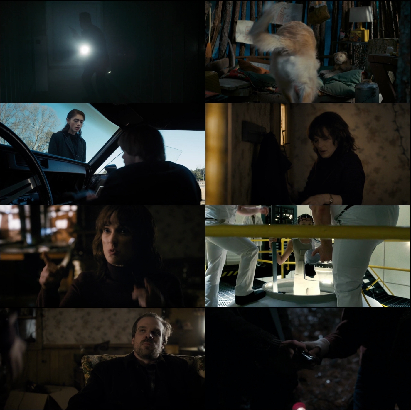 Stranger Things Temporada 1 720p Latino