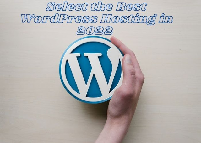 How to Choose Best WordPress