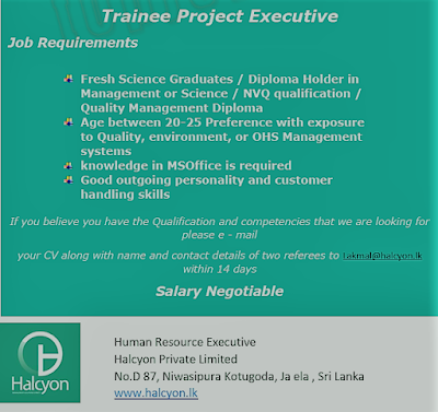 Trainee Project Executive at Halcyon Private Limited