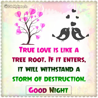 Good night love quote