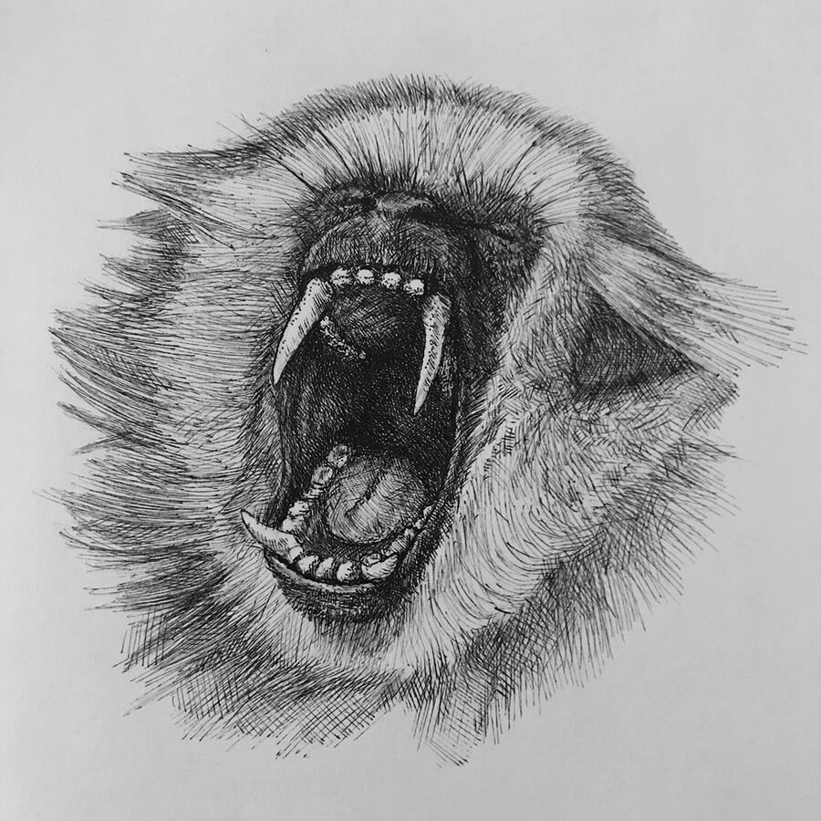 05-Screaming-monkey-Sketchbook-Animals-Patrick-Schwarz-www-designstack-co