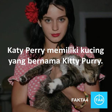 Kitty Purry