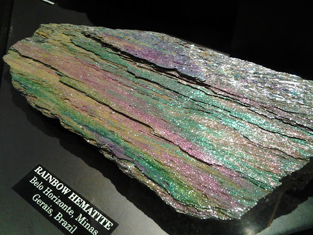 royal alberta museum geology