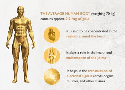 o corpo humano contém ouro