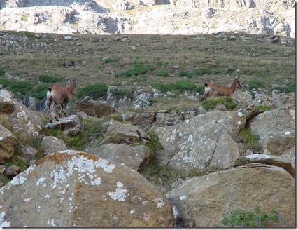 Ordesa_(Sept-2011) 175