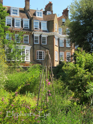 Chelsea Physic Garden