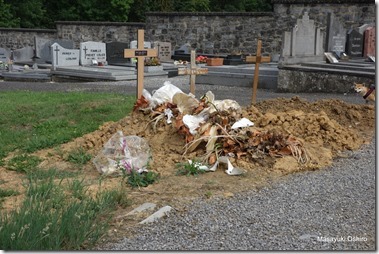 051-DSC03912