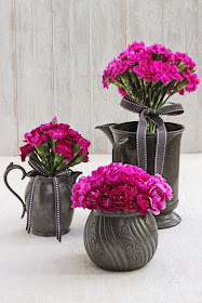 Pink Carnations