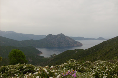 baie Girolata