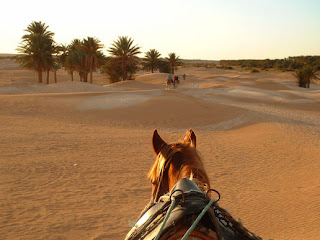 Desert Sahara In Africa