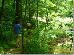 Walking along Stock Creek Trail