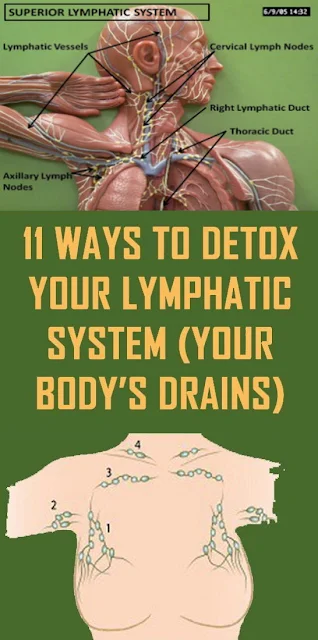 11 Ways To Detox Your Lymphatic System (Your Body’s Drains)
