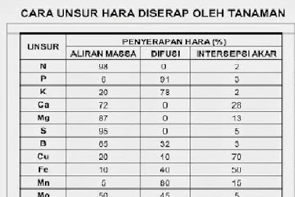 Cara Unsur Hara Diserap Oleh Tanaman 