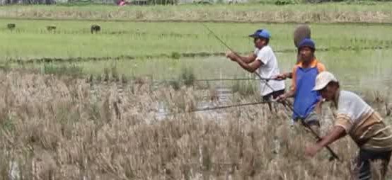 kumpulan-pawarta-ndinan-terbaru-banjir-bahasa-jawa