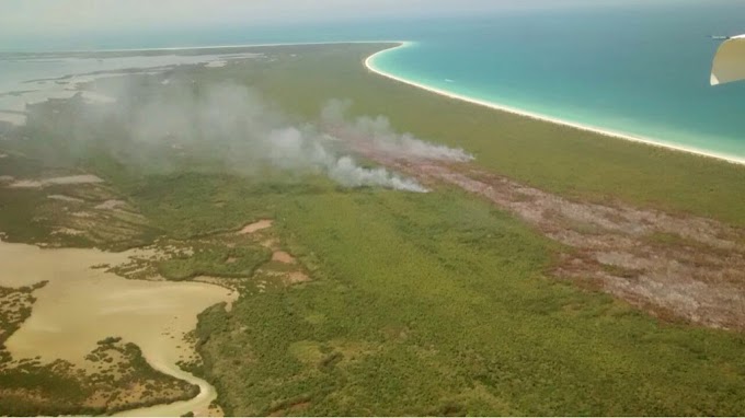 Estados/ Profepa determina que incendio en Isla Holbox fue provocado