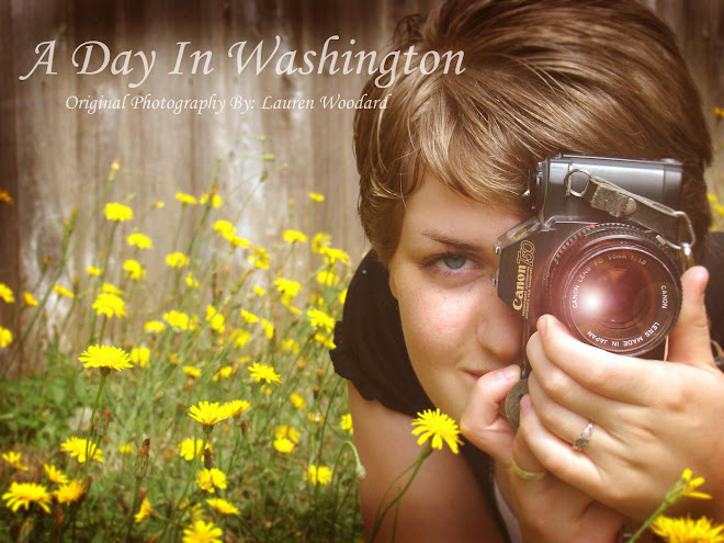 A Day In Washington