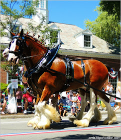 Carro de Caballos en el Desfile del 4 de Julio de Bristol