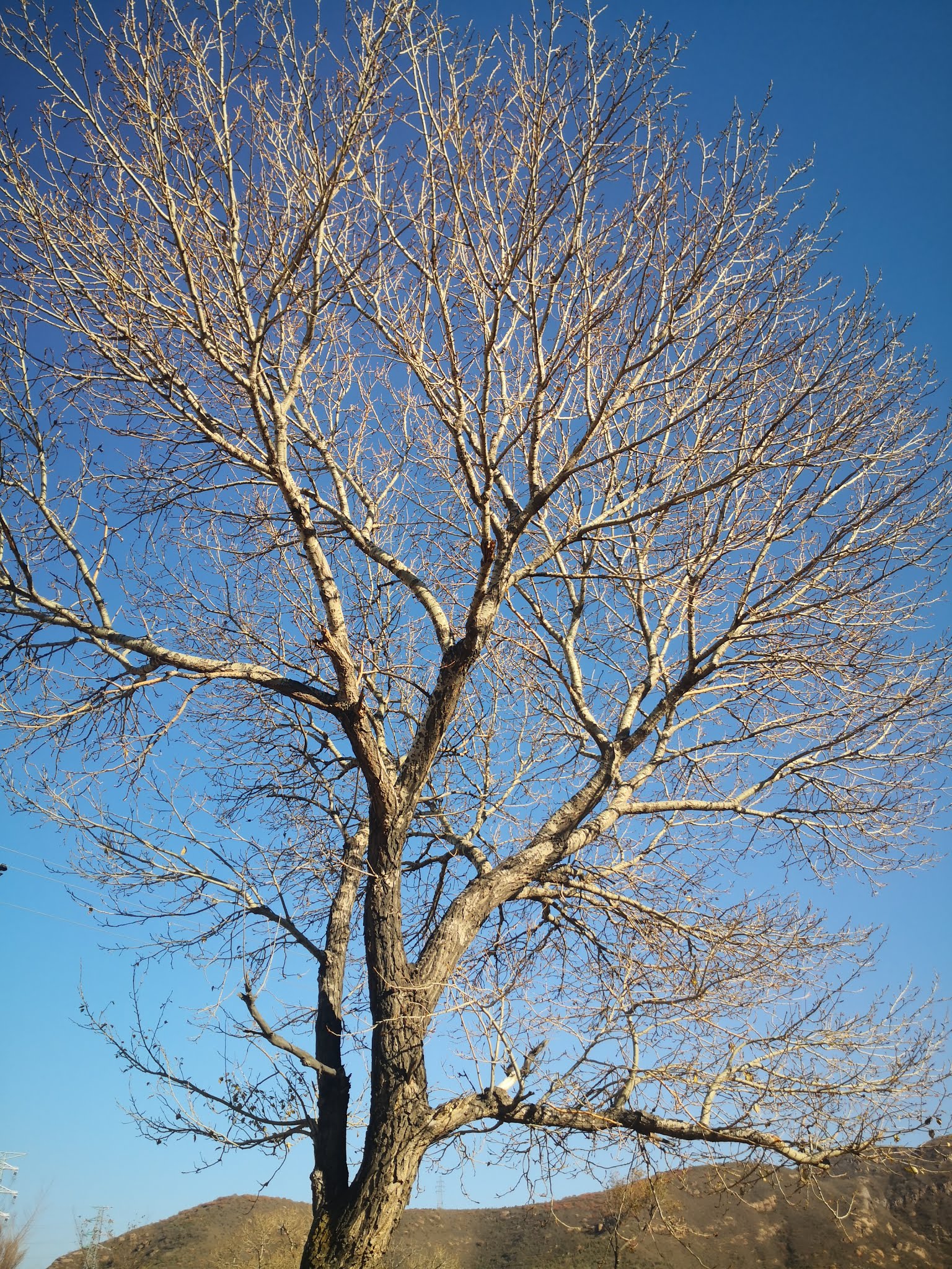 Autumn color photography, 8photograph skills