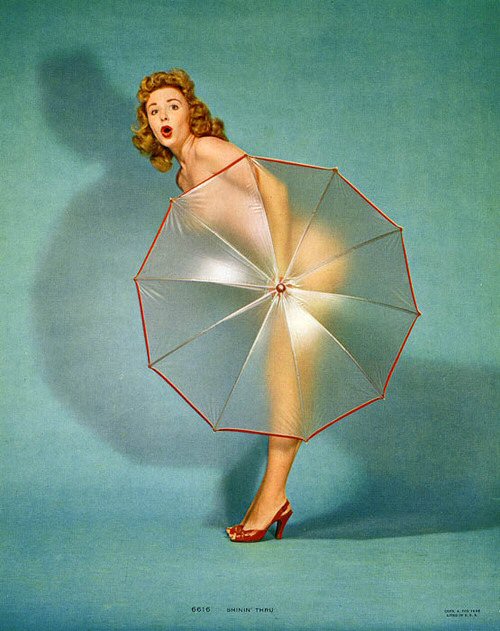 Translucent Umbrella