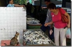 clip_image110