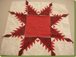 0609 Feathered Star 3